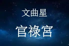 武曲化忌富豪|武曲星在官祿宮/事業宮